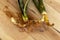 Sansevieria Trifasciat and Sansevieria cylindrica roots closeup