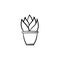 Sansevieria trifasciata hand drawn sketch icon.