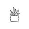 Sansevieria trifasciata hand drawn sketch icon.