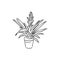 Sansevieria trifasciata hand drawn vector outline doodle icon. Decorative potted house plant sketch illustration for