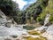 Sant Aniol Stream in Catalonia, Spain