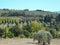 Sant Antimo abbey fields in Montalcino