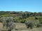 Sant Antimo abbey fields in Montalcino