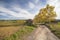 Sant Fruitos del Bages,Catalonia,Spain.