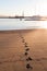 Santa Barbara harbor beach footprints