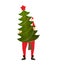 Santa carry big Christmas tree. Claus and huge spruce. Large fir