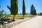 Santa Cesarea Terme, Apulia - On the country road towards Santa