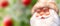 Santa Claus on background Christmas tree