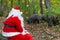 Santa Claus blurred looking pigs