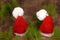 Santa Claus caps