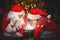 Santa Claus and child girl with bright magical gift in Christmas