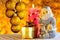 Santa Claus with Christmas gift, bright candle, balls toys on the background of Golden lights bokeh. Christmas, New year, winter