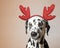 Santa claus dalmatian dog with new year horns and angry face