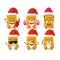 Santa Claus emoticons with ticket cartoon character