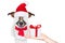 Santa claus excited and surprised dog