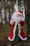 Santa Claus in the forest