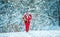 Santa Claus going with a bag of gifts in the winter on snow-covered field. Santa Claus coming to the winter forest with