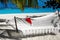 Santa Claus hat at caribbean sandy beach, Maldives. Santa Clause hat on hammock on the beach.