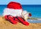 Santa Claus hat, slippers on the seashore