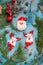 Santa Claus and raindeer christmas decoration