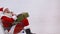 Santa Claus relaxing inside shopping cart with gift boxes