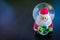 Santa Claus Water Dome Snow Glass Ball