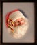 Santa Claus in Window with Candy Cane