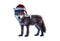 Santa Claus Wolf cub isolated Christmas illustration AI