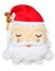 Santa Clause face with beard and hat