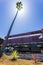 Santa Cruz Big trees and Pacific Railway train, Santa Cruz, California, United States of America, North America