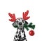 Santa dog in reindeer antlers with fir-tree and xmas ball