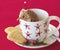 Santa Echidna in Christmas Cup with Shortbread.