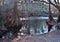 Santa Fe River at  O`Leno State Park in Florida