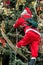 Santa figurine in the Christmas tree