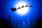 Santa Flying on Night City - Vector