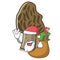 Santa with gift morel mushroom mascot cartoon