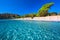 Santa Giulia sandy beach with pine trees and azure clear water, Corsica, France