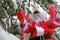 Santa Gloves and Tinsel. Christmas and New Year holidays.Santa Claus decorates a Christmas tree in the winter forest.