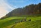 SANTA MADDALENA, ITALY - October 18, 2018: photographers in village Santa Maddalena Val Di Funes shoots world famous autumn alpine