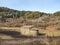 Santa Margarida chapel in La Garrotxa volcanic area. Catalunya, Spain