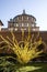 Santa Maria delle Grazie (Milan): dome and forsythia (early spring)