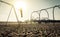 Santa monica beach. silhouette of a woman going up with the swing