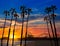 Santa Monica California sunset on Pier Ferrys wheel