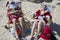 Santa and Mrs Claus sleeping with books on beach