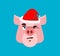 Santa Pig Winks Emoji. Jolly Piggy. Christmas avatars