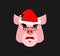 Santa Piig angry Emoji. Aggressive piggy. head farm animal. Christmas avatars
