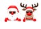 Santa And Reindeer Sunglasses Thumb Up Above Horizontal Banner