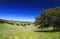 Santa Rosa Plateau in spring