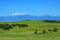 Santa Rosa Plateau in spring