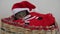 Santa`s cat sleeping in a basket during the Christmas and New Year holidays